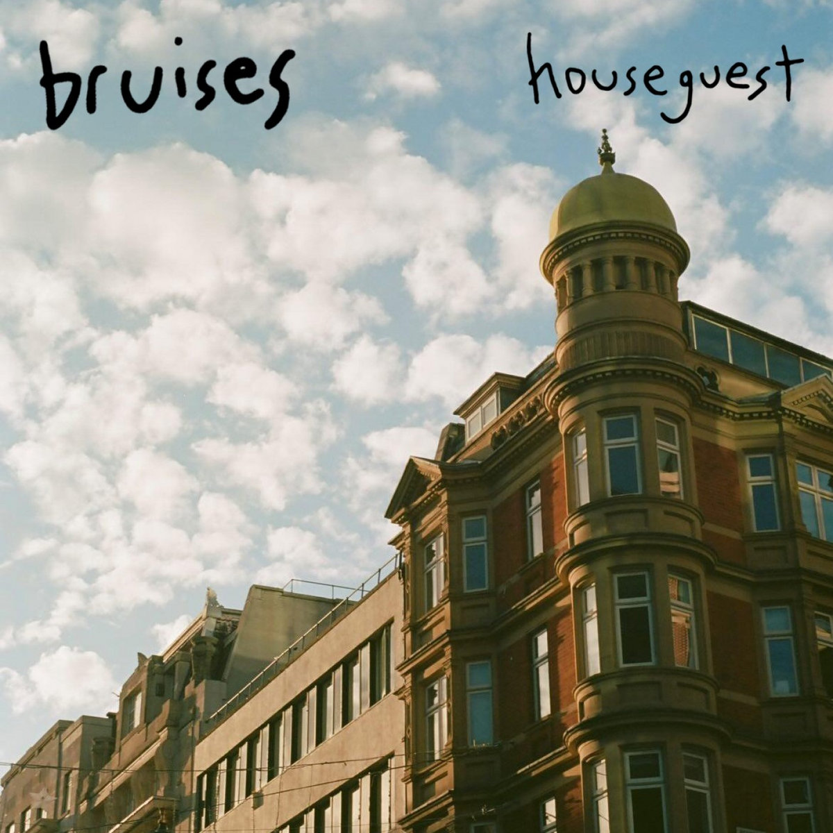 bruises by houseguest